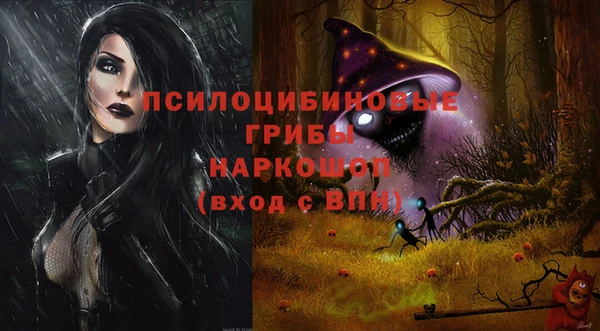 ГАЛЛЮЦИНОГЕННЫЕ ГРИБЫ Алексеевка