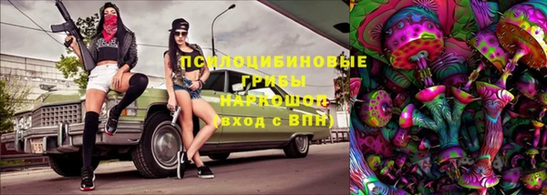 дживик Алексин