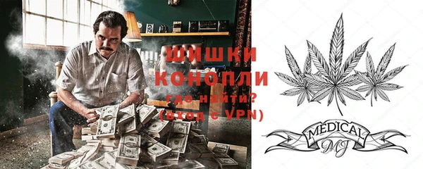 ГАЛЛЮЦИНОГЕННЫЕ ГРИБЫ Алексеевка