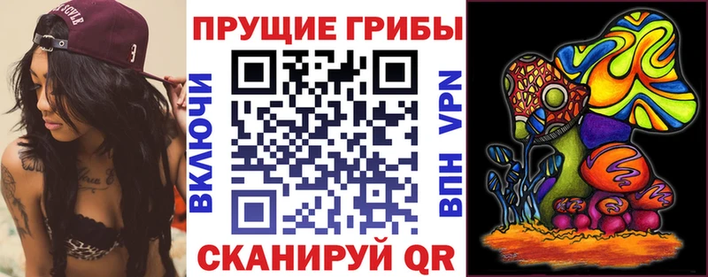 Псилоцибиновые грибы мицелий  Микунь 
